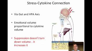 Covideo 4Emotional Suppression Cytokines and Inflammation [upl. by Etnahsa]