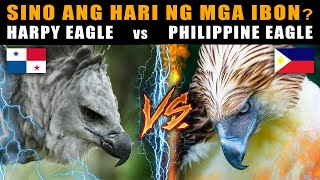 Philippine Eagle vs Harpy Eagle  Sino ang HARI NG MGA AGILA  The Strongest Eagle in The World [upl. by Arikehs]