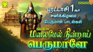 மலைமேல் நின்றாய் பெருமாளே  பெருமாள் பாடல்கள்  Malaimel Nindrai Perumale  Perumal Songs [upl. by Sateia]