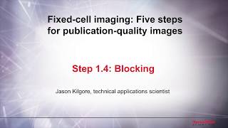 14 Blocking–Fixed cell imaging 5 steps for publicationquality images [upl. by Emeric]