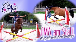 Lia amp Alfi  FMA am Stall  HalsringReiten [upl. by Liarret]