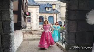 Entrée et sortie des princesses et princes Disneyland Paris 19102017 [upl. by Akkim]