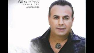 תמיר גל אמרי לי Tamir Gal [upl. by Iila]