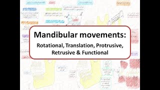 Mandibular movements Rotational Translational Protrusive Retrusive amp Functional [upl. by Ashman]