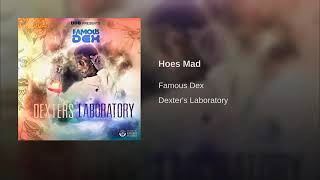 Famous Dex  hoes mad audio [upl. by Irma432]