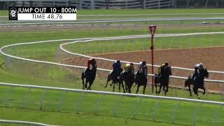 Flemington Jump Outs 24 Nov 2023 Jump Out 10 [upl. by Harima815]