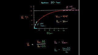 Michaelis Menten Equation Enzyme Kinetics PART 2 0 order kinetics and 1st order kinetics [upl. by Yeta]