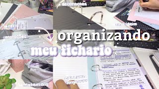 ORGANIZANDO MEU FICHÁRIO  novo trimestre fichário organizado 🤩💕 [upl. by Valorie]