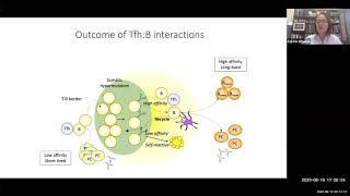 Follicular T Cells and Their Regulation of Antibody ResponsesClass Switching by Dr Carola Vinuesa [upl. by Auhsohey]