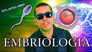 Aula 15 Embriologia  Da Fecundação a Organogênese  Aula de Biologia ENEM e Vestibular [upl. by Ardy549]