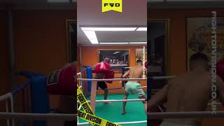 🥊 🤣 Sparring in the BIGGEST BOXING GLOVES EVER 🤣 🥊 muaythai boxing thaiboxing mma ufc funny [upl. by Ettenyl]