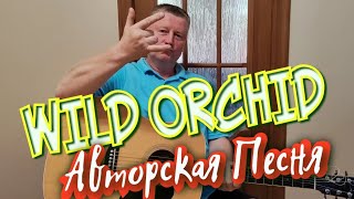 Дикая Орхидея Авторская Песня Wild Orchid СуперМегаХит [upl. by Annayehc]