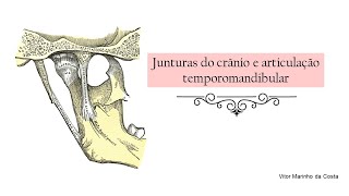 Anatomia da articulação temporomandibular  ATM PARTE I [upl. by Suaeddaht]