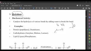 L16 Naming of Enzymes [upl. by Renny]