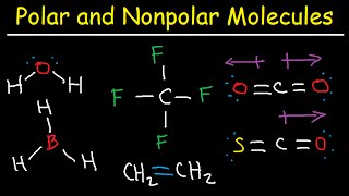 Polar and NonPolar Molecules How To Tell If a Molecule is Polar or Nonpolar [upl. by Tekla]