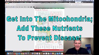 Get Into the Mitochondria And Add These Nutrients To Prevent Chronic Disease Hintmeat [upl. by Cummine]