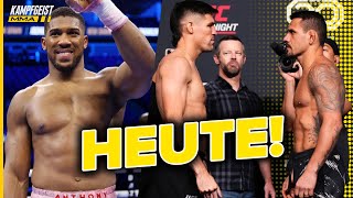 FINALE PROGNOSE Anthony Joshua vs Helenius und UFC Luque vs RDA [upl. by Eatnuhs612]