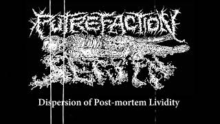 Putrefaction Sets In  Dispersion of Post​​mortem Lividity 2021  Goregrind [upl. by Combs]