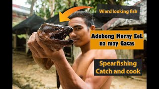 Spearfishing Moray Eel in the Philippines Catch and cook living episode 5 [upl. by Aitetel]