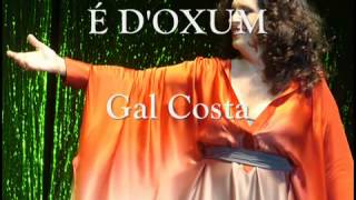 GAL COSTA É DOXUM [upl. by Doowyah]