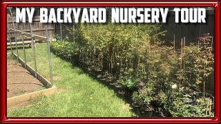 My Backyard Nursery Tour [upl. by Baten]