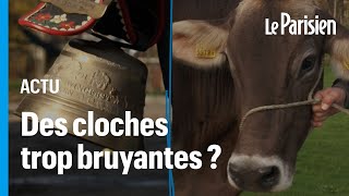 Suisse  des vaches accusées de « tapage nocturnes » à cause de leur cloche [upl. by Ney]