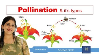 Self amp Cross Pollination  Sexual Reproduction in Plants II Agents of Pollination II [upl. by Bannon]