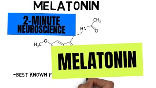 2Minute Neuroscience Melatonin [upl. by Aidiruy]