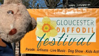 2024 Gloucester Daffodil festival in Gloucester VA with Goober the Traveling Bear [upl. by Gnilrets]