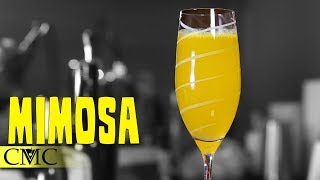 🍊 How To Make a Mimosa  Breakfast Cocktails [upl. by Eugirne]