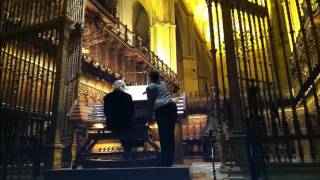 Tocata y fuga JS Bach Catedral de Sevilla [upl. by Hen]