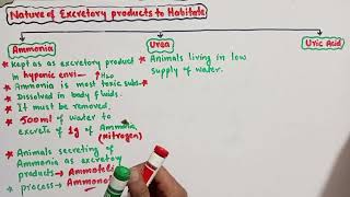 Nature of Excretory products to Habitat ll Biology class 12th ll Ammonotelic ll Ureotelic [upl. by Pickar455]