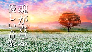 自律神経に優しい音楽 ～ 心の中に癒しが広がり魂が喜ぶピアノBGM [upl. by Royo428]