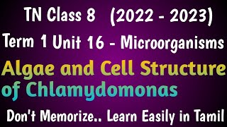 Algae and Cell Structure of Chlamydomonas Class 8 Term 1 Unit 16 Microorganisms [upl. by Sissel877]