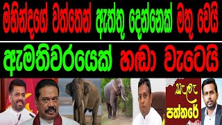 මහින්දගේ වත්තෙන් ඇත්තු දෙන්නෙක් මතුවෙයි ඇමැතිවරයෙක් හඬා වැටෙයිKalapaththareකැලෑ පත්තරය [upl. by Oirasor]