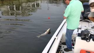 Winyah Bay fishing trip [upl. by Dove]