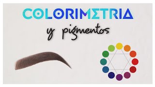 Geovanna Lulé  Colorimetria y Pigmentos para Microblading y Micropigmentacion [upl. by Desi80]