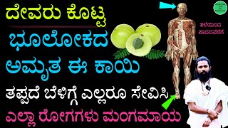 90 ರೋಗಗಳಿಗೂ ಒಂದೇ ಮನೆಮದ್ದು  Superfood Amla  Bettada Nellikai Benefits in Kannada  ನೆಲ್ಲೆಕಾಯಿ [upl. by Soulier44]