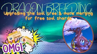 Merge Dragon Dragon breeding upgrading soul tree amp merging for soul chards again [upl. by Keir]