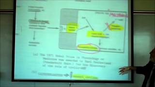 SYNAPTIC TRANSMISSION IN THE CNS PART 2 by Professor Fink [upl. by Adian]