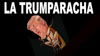 LA TRUMPARACHA  Parody of La Cucaracha  Freedom Toast amp Don Caron [upl. by Onifled331]