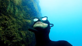 Scotlands Big Blue  Freediving Easdale Quarries [upl. by Lavine]