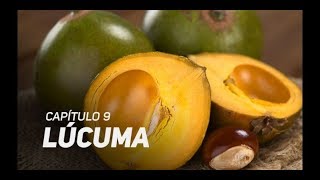 Súper alimentos Los beneficios de la Lúcuma [upl. by Rennug]