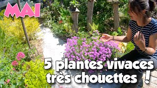 5 plantes vivaces astuces aux mauvaises herbes pépinière Auvergne [upl. by Ocnarfnaig]