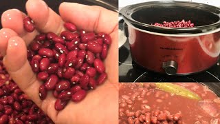 Frijoles Rojos en Olla de De Coccion Lenta “Crockpot” [upl. by Ennayar]