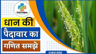 rice plant pollination process। धान की बालियों में दाना कैसे बनता है लाइव देखे। [upl. by Dougall266]