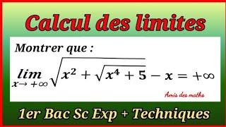 Calcul des limites  1er Bac Sc Exp  Techniques  حساب النهايات  الاولى باك علمي و تقني [upl. by Lillie]