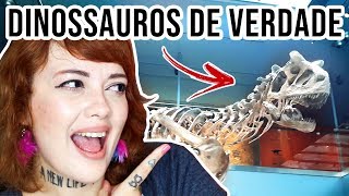 ENCONTREI FOSSEIS DE DINOSSAURO DE VERDADE NOS ESTADOS UNIDOS  VLOG [upl. by Drice130]