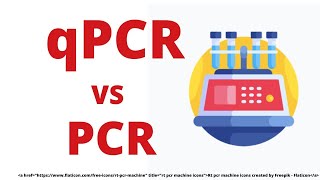 qPCR DATA ANALYSIS  REAL TIME PCR [upl. by Neelyhtak]