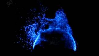 Bioluminescence Bioluminescent water [upl. by Marilin]